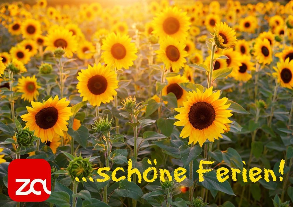 Sommerwünsche2026